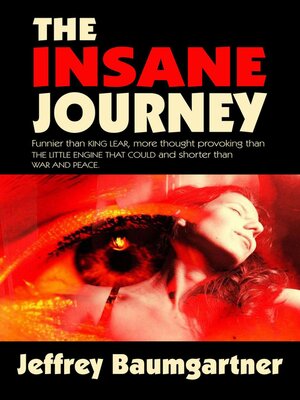 cover image of The Insane Journey